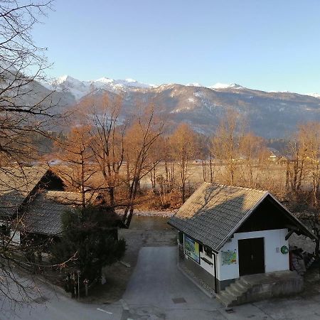 Apartma Kosnik Perunika Bohinj Bagian luar foto