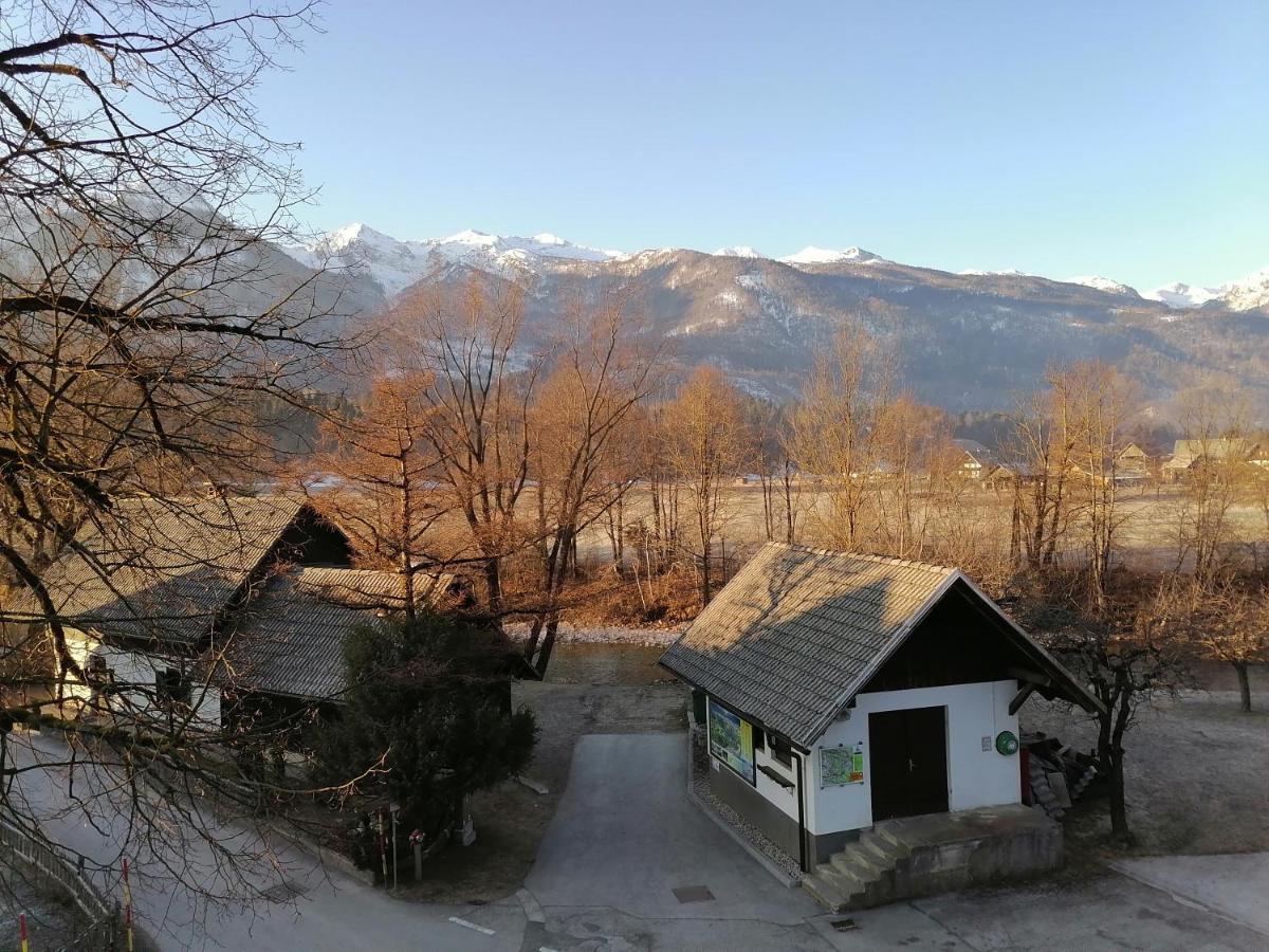 Apartma Kosnik Perunika Bohinj Bagian luar foto